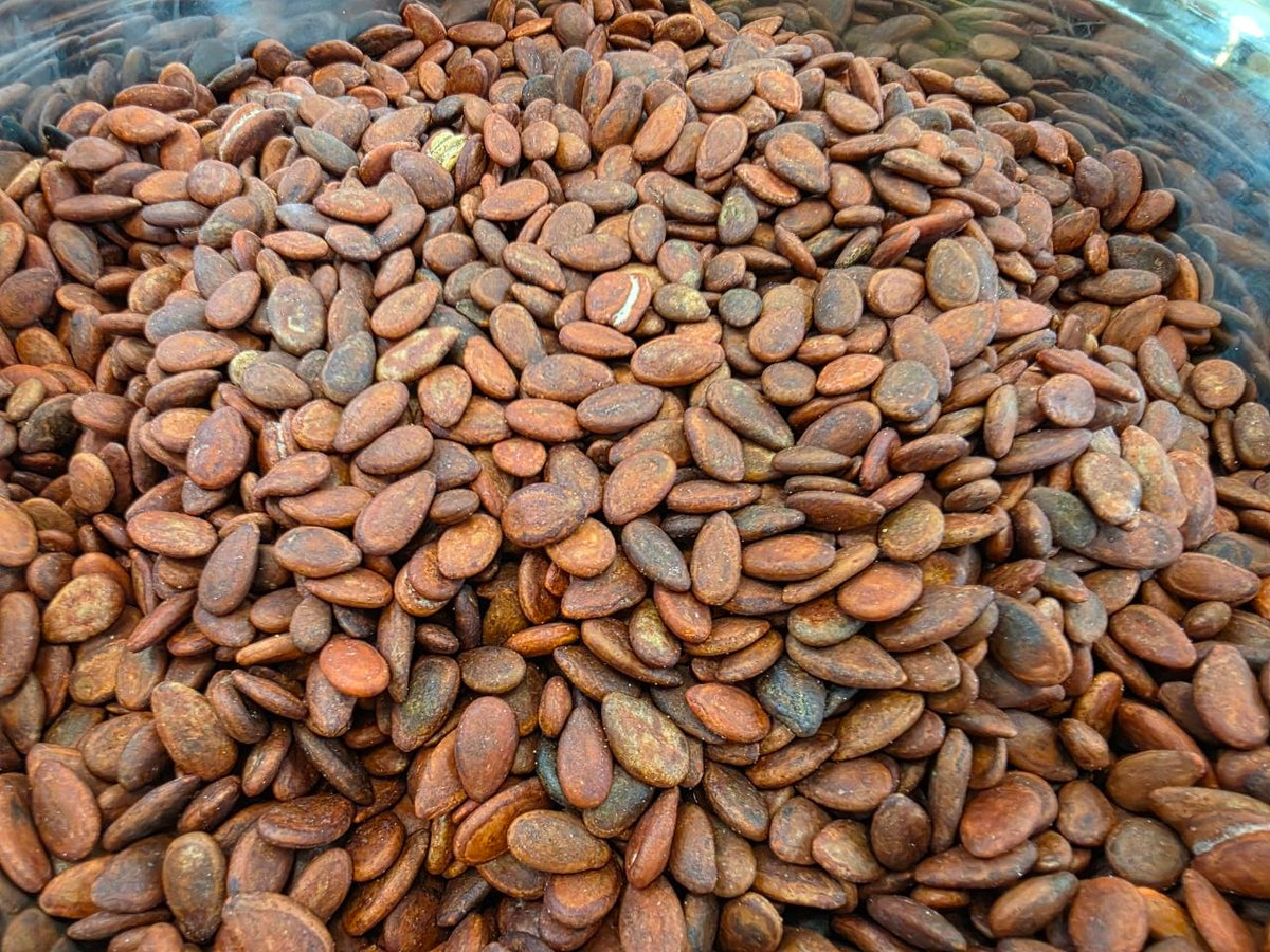 Watermelon Seeds
