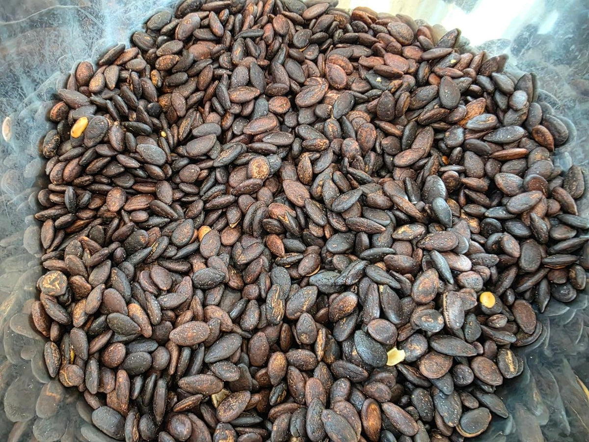 Watermelon Seeds
